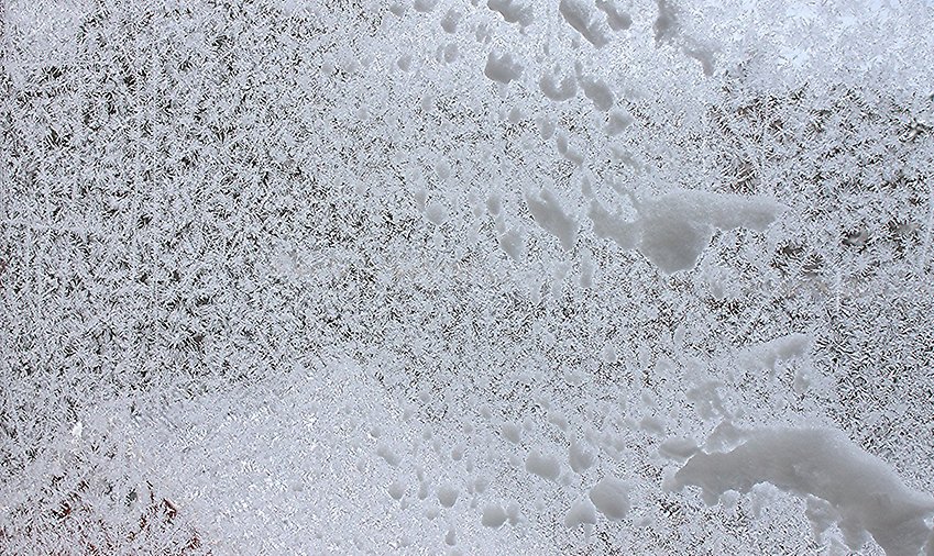 Iskristaller på ett fönster