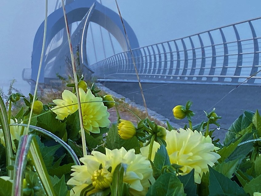 Bro med blommor i förgrunden