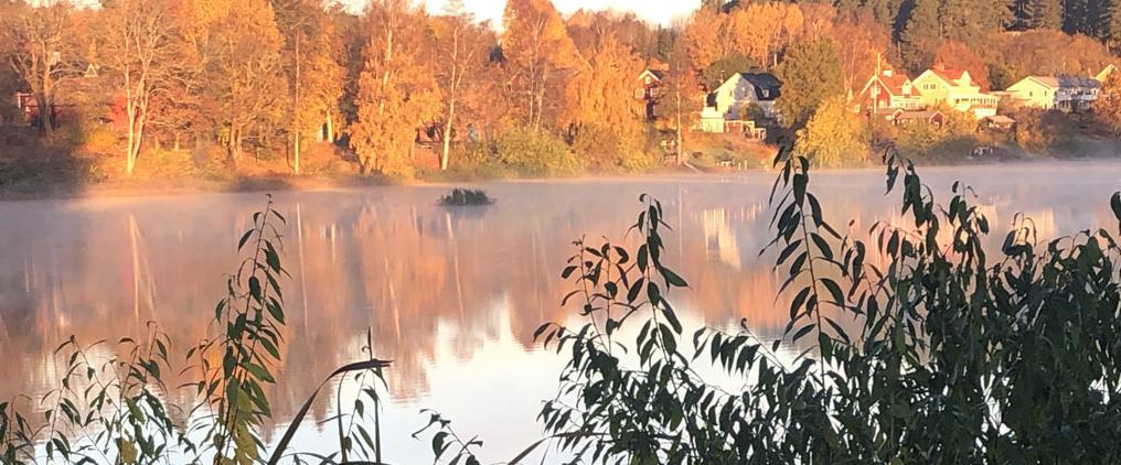 Foto S Törnqvist, privat